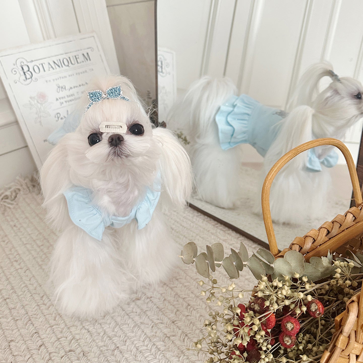 Cotton Pet Princess Dress with Bow and Rhinestone Decoration Light Blue/Black 3XS-S