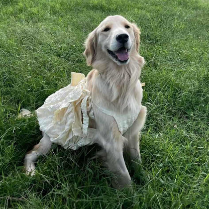 Yellow Polyester Pet Dress Princess Dog Clothing 3XL-6XL for Medium and Large Dogs