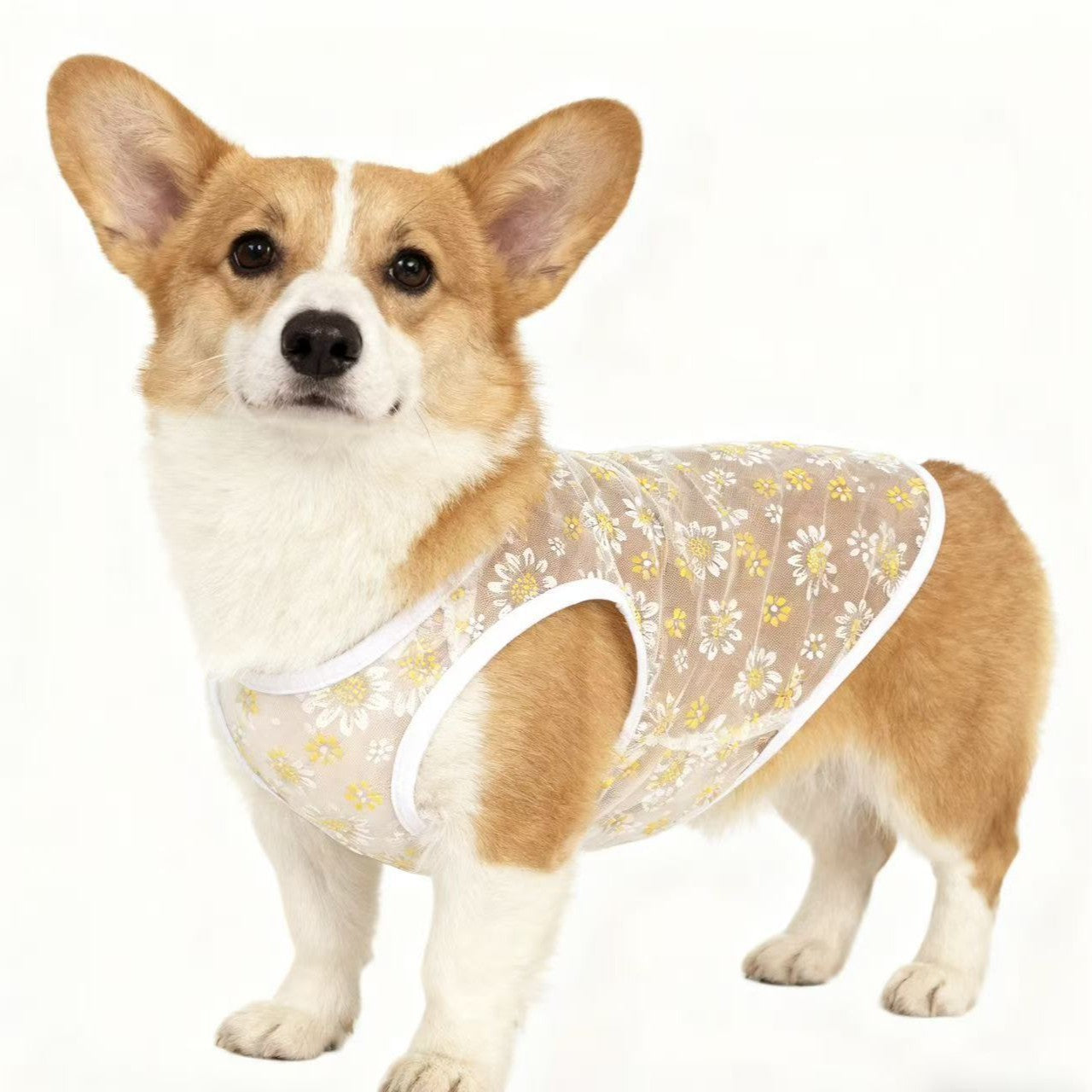 Polyester Printed Pet Vest 50g Dog Summer Shirt Black/White S-L