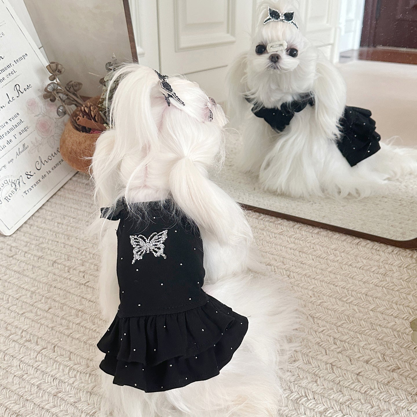 Cotton Pet Princess Dress with Bow and Rhinestone Decoration Light Blue/Black 3XS-S